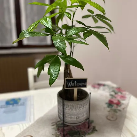 Malpensa - The Grace Place Apartamento