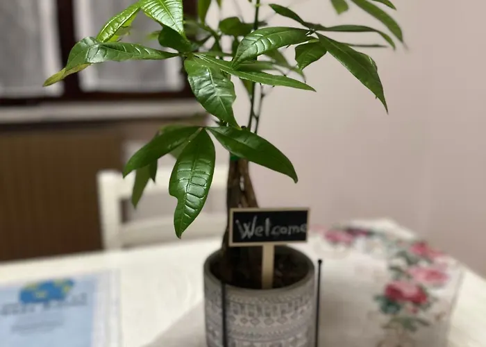 Grace Place - Self Checkin 24h - 15 Min Malpensa - Free Parking Apartament